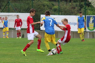 开云网址-逆转排行榜:哪些比赛最燃,谁是“逆转之王”?