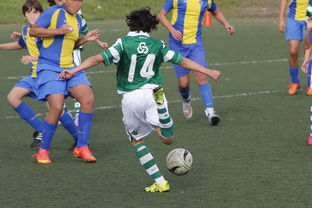 开云网址-逆转排行榜:哪些比赛最燃,谁是“逆转之王”?