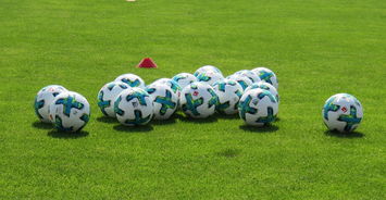 Kaiyun APP-中国足球协会启动精英教练培训,中国足协教练员培训讲师